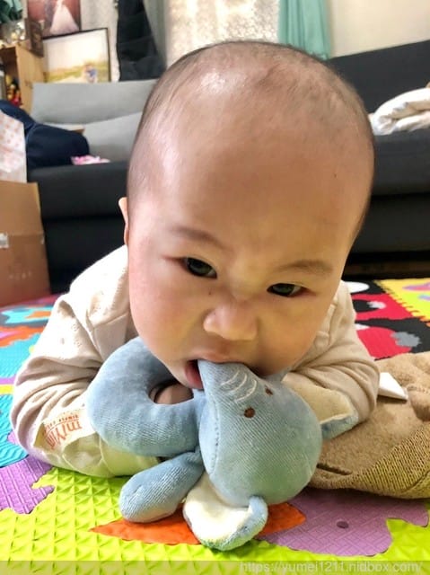 ＊好物分享＊【寶寶安撫玩具推薦-miYim棉安撫娃娃-吉拿棒 好夢蛙&手搖鈴 芬恩象象，安心陪伴每一刻】