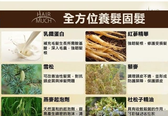 【HAIR MUCH 深層潔淨養髮精500ml】 - 第5張圖 【HAIR MUCH 深層潔淨養髮精500ml】