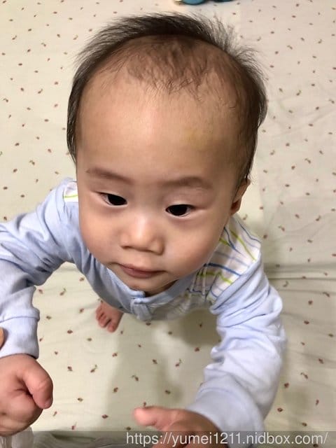 【接觸寶寶皮膚的第一件衣服!奇哥-absorba春夏內著】虎寶 9M - 第28張圖 【接觸寶寶皮膚的第一件衣服!奇哥-absorba春夏內著】虎寶 9M
