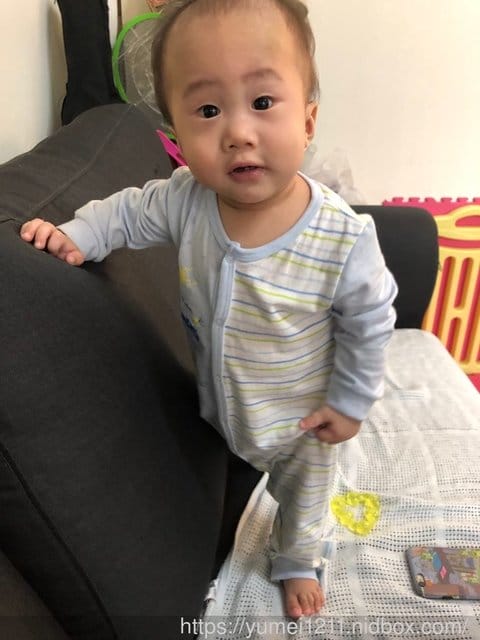 【接觸寶寶皮膚的第一件衣服!奇哥-absorba春夏內著】虎寶 9M - 第29張圖 【接觸寶寶皮膚的第一件衣服!奇哥-absorba春夏內著】虎寶 9M