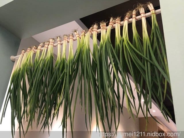 【虎寶的日式抓周】-2019台中Combi House 親子體驗館 - 第28張圖 【虎寶的日式抓周】-2019台中Combi House 親子體驗館