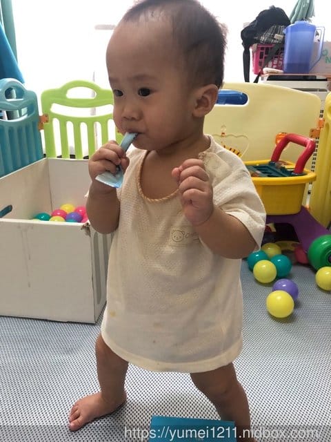 【Carloine 卡蘿琳 X BabyLike-多層保護讓好菌到腸道】 - 第13張圖 【Carloine 卡蘿琳 X BabyLike-多層保護讓好菌到腸道】