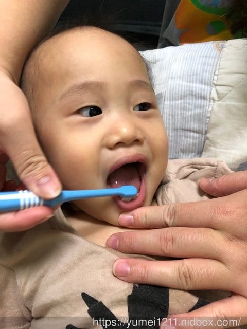 【巧連智-全新登場五大學習領域9月號寶寶版,讓虎寶開心的主動學習】 - 第33張圖 【巧連智-全新登場五大學習領域9月號寶寶版,讓虎寶開心的主動學習】