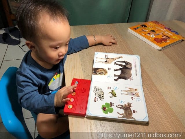 【巧連智-全新登場五大學習領域9月號寶寶版,讓虎寶開心的主動學習】 - 第37張圖 【巧連智-全新登場五大學習領域9月號寶寶版,讓虎寶開心的主動學習】