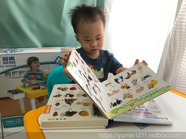 【 UTmall親子商城】地表最強的玩樂Blue Eagle藍鷹多功能積木桌 - 第29張圖 【 UTmall親子商城】地表最強的玩樂Blue Eagle藍鷹多功能積木桌