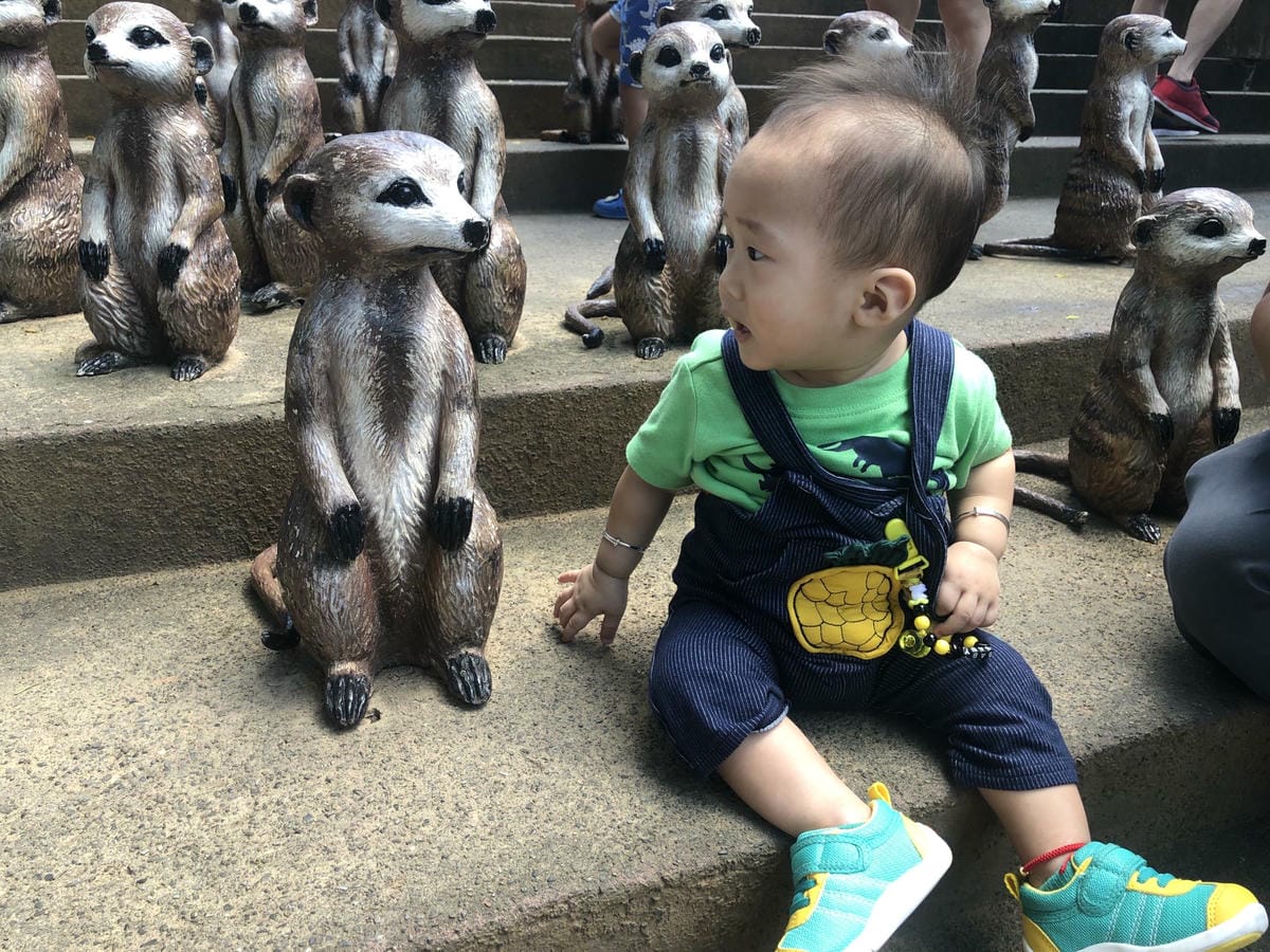 全職媽媽的戰戰兢兢,永遠無法預測孩子的下一秒-虎寶1Y4M - 第4張圖 全職媽媽的戰戰兢兢,永遠無法預測孩子的下一秒-虎寶1Y4M