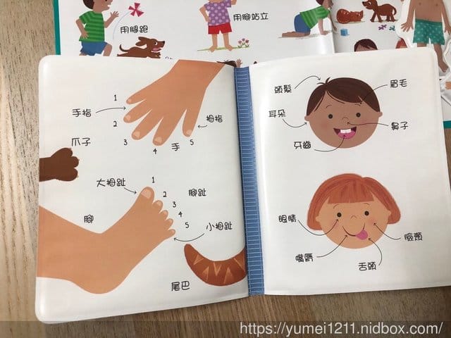 【泛亞圖書】iPan屋-從零歲(0M+)起就可以開始親子共讀了!! - 第12張圖 【泛亞圖書】iPan屋-從零歲(0M+)起就可以開始親子共讀了!!