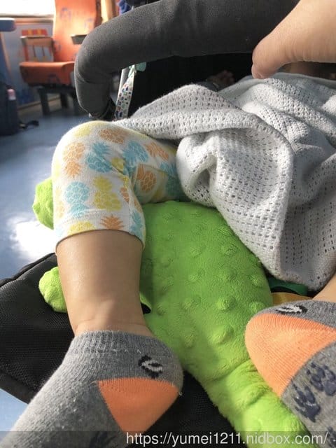 【CUDDLY ZOO.卡莉露】歐洲嬰幼兒精品,賣到缺貨的迪諾龍 - 第21張圖 【CUDDLY ZOO.卡莉露】歐洲嬰幼兒精品,賣到缺貨的迪諾龍