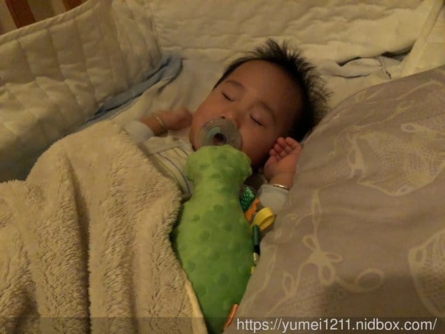 【CUDDLY ZOO.卡莉露】歐洲嬰幼兒精品,賣到缺貨的迪諾龍 - 第10張圖 【CUDDLY ZOO.卡莉露】歐洲嬰幼兒精品,賣到缺貨的迪諾龍