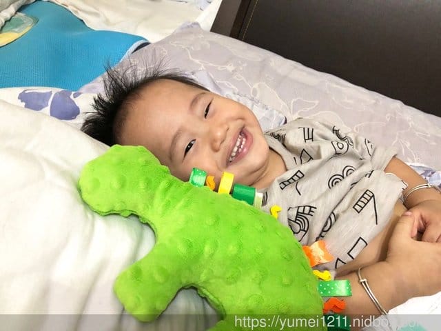 【CUDDLY ZOO.卡莉露】歐洲嬰幼兒精品,賣到缺貨的迪諾龍 - 第24張圖 【CUDDLY ZOO.卡莉露】歐洲嬰幼兒精品,賣到缺貨的迪諾龍