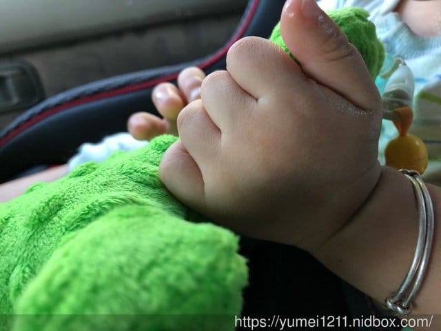 【CUDDLY ZOO.卡莉露】歐洲嬰幼兒精品,賣到缺貨的迪諾龍 - 第12張圖 【CUDDLY ZOO.卡莉露】歐洲嬰幼兒精品,賣到缺貨的迪諾龍