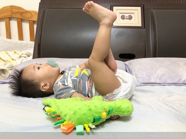 【CUDDLY ZOO.卡莉露】歐洲嬰幼兒精品,賣到缺貨的迪諾龍 - 第5張圖 【CUDDLY ZOO.卡莉露】歐洲嬰幼兒精品,賣到缺貨的迪諾龍