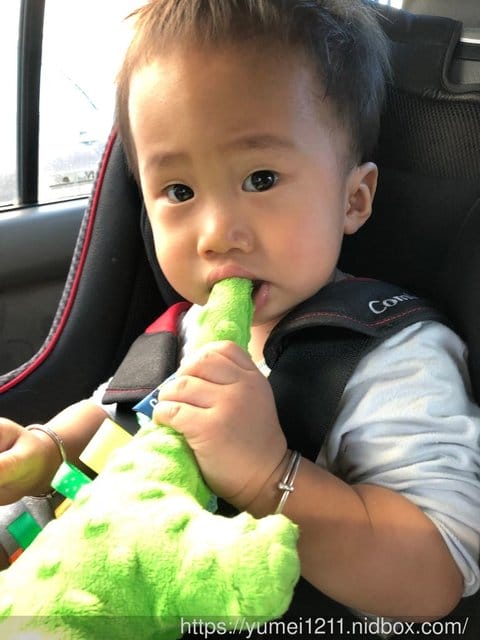 【CUDDLY ZOO.卡莉露】歐洲嬰幼兒精品,賣到缺貨的迪諾龍 - 第6張圖 【CUDDLY ZOO.卡莉露】歐洲嬰幼兒精品,賣到缺貨的迪諾龍