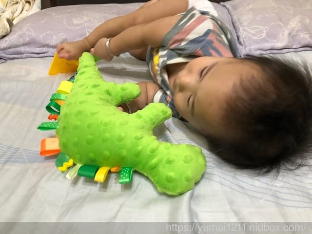 【CUDDLY ZOO.卡莉露】歐洲嬰幼兒精品,賣到缺貨的迪諾龍 - 第13張圖 【CUDDLY ZOO.卡莉露】歐洲嬰幼兒精品,賣到缺貨的迪諾龍