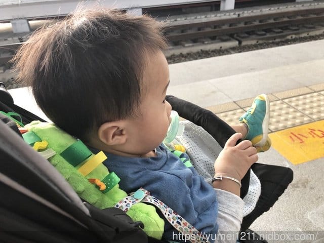 【CUDDLY ZOO.卡莉露】歐洲嬰幼兒精品,賣到缺貨的迪諾龍 - 第19張圖 【CUDDLY ZOO.卡莉露】歐洲嬰幼兒精品,賣到缺貨的迪諾龍