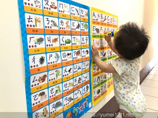 【泛亞文化】iPan屋-多種玩法的哇酷-動物百寶箱 - 第10張圖 【泛亞文化】iPan屋-多種玩法的哇酷-動物百寶箱