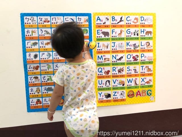 【泛亞文化】iPan屋-多種玩法的哇酷-動物百寶箱 - 第9張圖 【泛亞文化】iPan屋-多種玩法的哇酷-動物百寶箱