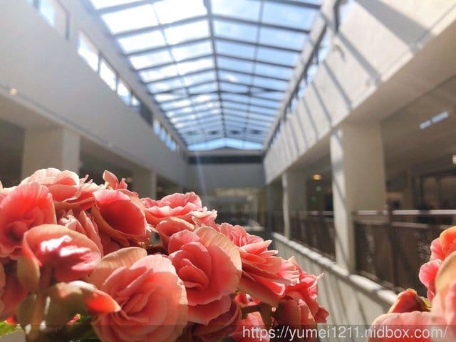 【台中麗寶二期】歐風湖邊Outlet商場,IG最新網美熱門打卡地點 - 第4張圖 【台中麗寶二期】歐風湖邊Outlet商場,IG最新網美熱門打卡地點
