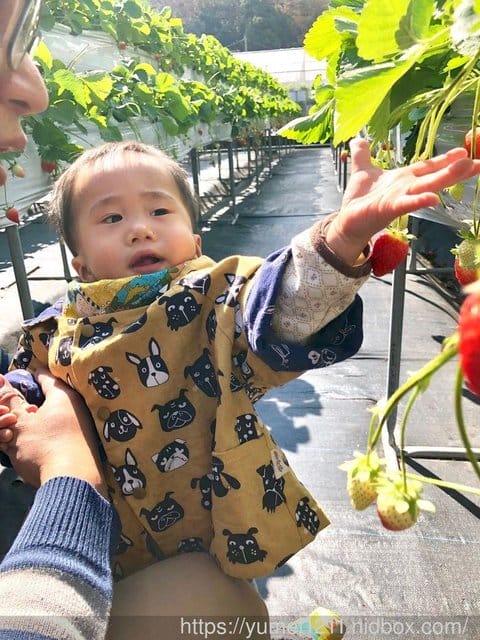 【Q比芝麻暖心手作】嬰幼兒服飾全手工製作給孩子最好的那份心， 秋冬外套給寶寶專屬溫暖