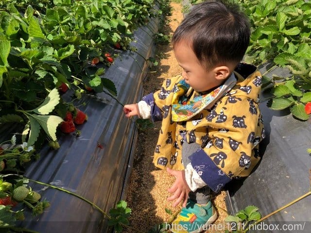 【Q比芝麻暖心手作】嬰幼兒服飾全手工製作給孩子最好的那份心， 秋冬外套給寶寶專屬溫暖