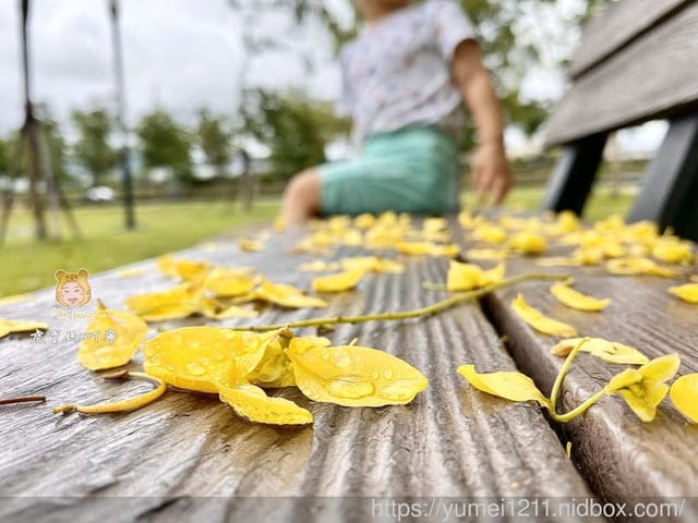 夏日外出必備【叮寧 】派卡瑞丁8H長效防蚊液,讓蚊子離你遠遠的~ - 第11張圖 夏日外出必備【叮寧 】派卡瑞丁8H長效防蚊液,讓蚊子離你遠遠的~