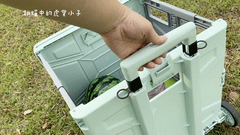 闔樂泰【GOLD LIFE多功能好收納購物車】55L 四輪款,購物採買/戶外旅遊都適用喔 - 第7張圖 闔樂泰【GOLD LIFE多功能好收納購物車】55L 四輪款,購物採買/戶外旅遊都適用喔