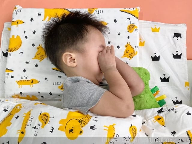 幼稚園老師推薦的L型設計【 賽里絲 SERES】 兒童乳膠睡袋(五件組),一年四季皆可用 - 第20張圖 幼稚園老師推薦的L型設計【 賽里絲 SERES】 兒童乳膠睡袋(五件組),一年四季皆可用