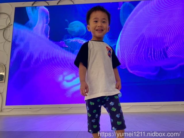 桃園景點-水族館【X park】五感體驗/福爾摩沙大水槽/水母萬花筒區 - 第75張圖 桃園景點-水族館【X park】五感體驗/福爾摩沙大水槽/水母萬花筒區