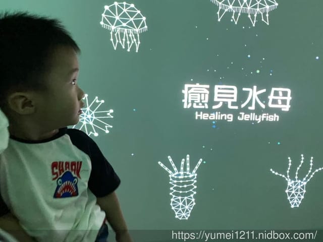 桃園景點-水族館【X park】五感體驗/福爾摩沙大水槽/水母萬花筒區 - 第44張圖 桃園景點-水族館【X park】五感體驗/福爾摩沙大水槽/水母萬花筒區