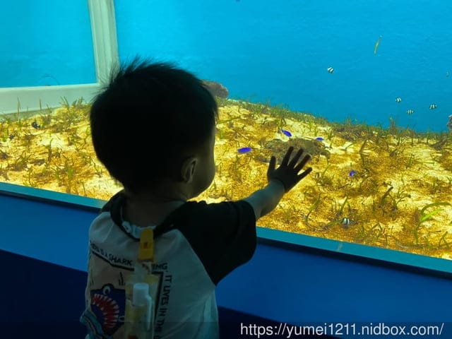 桃園景點-水族館【X park】五感體驗/福爾摩沙大水槽/水母萬花筒區 - 第14張圖 桃園景點-水族館【X park】五感體驗/福爾摩沙大水槽/水母萬花筒區