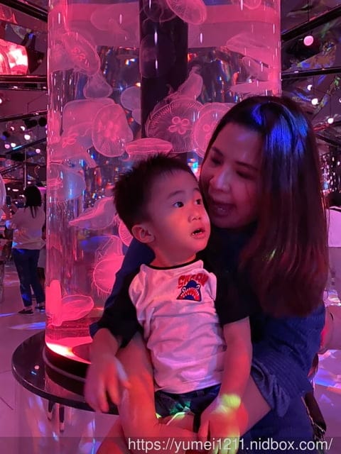 桃園景點-水族館【X park】五感體驗/福爾摩沙大水槽/水母萬花筒區 - 第52張圖 桃園景點-水族館【X park】五感體驗/福爾摩沙大水槽/水母萬花筒區