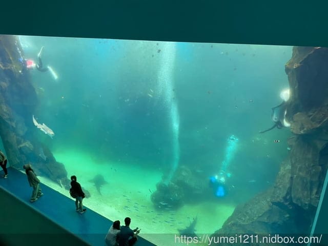 桃園景點-水族館【X park】五感體驗/福爾摩沙大水槽/水母萬花筒區 - 第43張圖 桃園景點-水族館【X park】五感體驗/福爾摩沙大水槽/水母萬花筒區