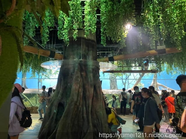 桃園景點-水族館【X park】五感體驗/福爾摩沙大水槽/水母萬花筒區 - 第32張圖 桃園景點-水族館【X park】五感體驗/福爾摩沙大水槽/水母萬花筒區
