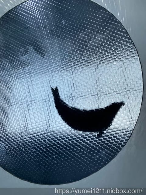 桃園景點-水族館【X park】五感體驗/福爾摩沙大水槽/水母萬花筒區 - 第37張圖 桃園景點-水族館【X park】五感體驗/福爾摩沙大水槽/水母萬花筒區