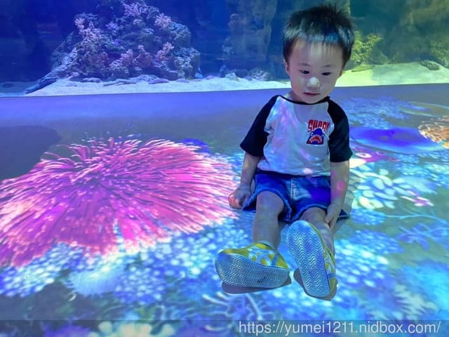 桃園景點-水族館【X park】五感體驗/福爾摩沙大水槽/水母萬花筒區 - 第21張圖 桃園景點-水族館【X park】五感體驗/福爾摩沙大水槽/水母萬花筒區