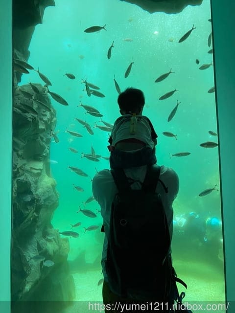桃園景點-水族館【X park】五感體驗/福爾摩沙大水槽/水母萬花筒區 - 第45張圖 桃園景點-水族館【X park】五感體驗/福爾摩沙大水槽/水母萬花筒區