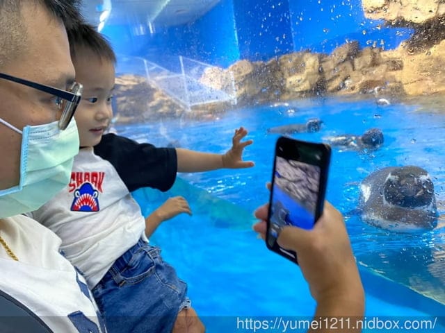 桃園景點-水族館【X park】五感體驗/福爾摩沙大水槽/水母萬花筒區 - 第58張圖 桃園景點-水族館【X park】五感體驗/福爾摩沙大水槽/水母萬花筒區