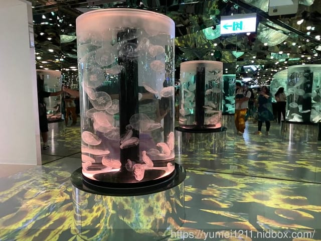 桃園景點-水族館【X park】五感體驗/福爾摩沙大水槽/水母萬花筒區 - 第51張圖 桃園景點-水族館【X park】五感體驗/福爾摩沙大水槽/水母萬花筒區