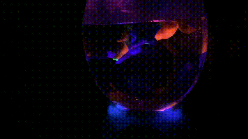 開團 /STEM玩具【Aquadabra魔法水精靈】讓孩子從遊戲中學習 / 水族箱 / 親子玩具 - 第3張圖 開團 /STEM玩具【Aquadabra魔法水精靈】讓孩子從遊戲中學習 / 水族箱 / 親子玩具