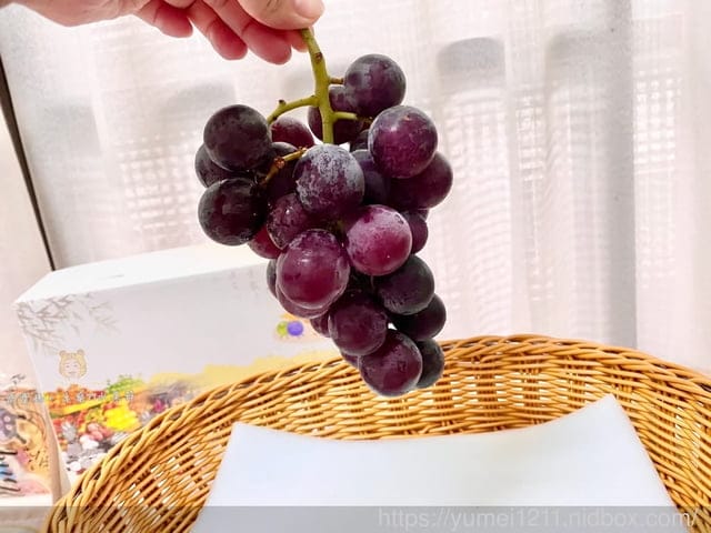 旅遊/伴手禮【卓蘭77水果節】巨峰葡萄 卓蘭水梨|水國王國特產 - 第5張圖 旅遊/伴手禮【卓蘭77水果節】巨峰葡萄 卓蘭水梨|水國王國特產