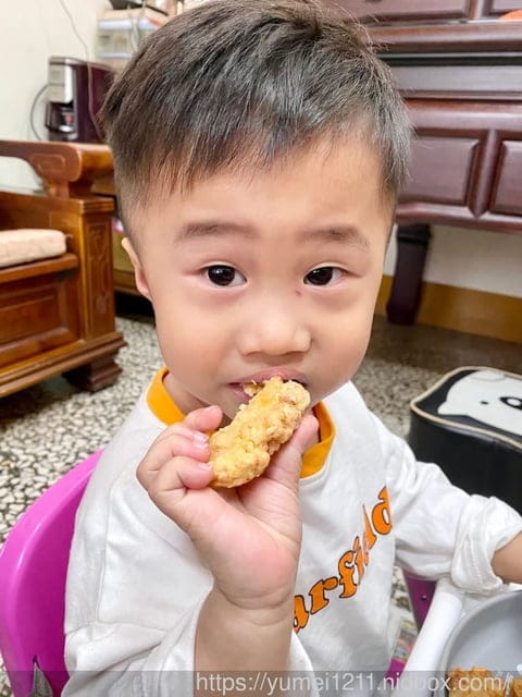 主婦的夢幻逸品-日虎廚神寶一機三用多功能料理機/備料神器/食物調理機 - 第24張圖 主婦的夢幻逸品-日虎廚神寶一機三用多功能料理機/備料神器/食物調理機