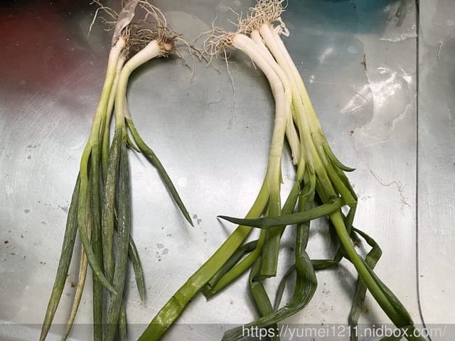 優系鎖鮮袋-蔬果專用袋+食物專用袋/鎖住蔬果食材的鮮度