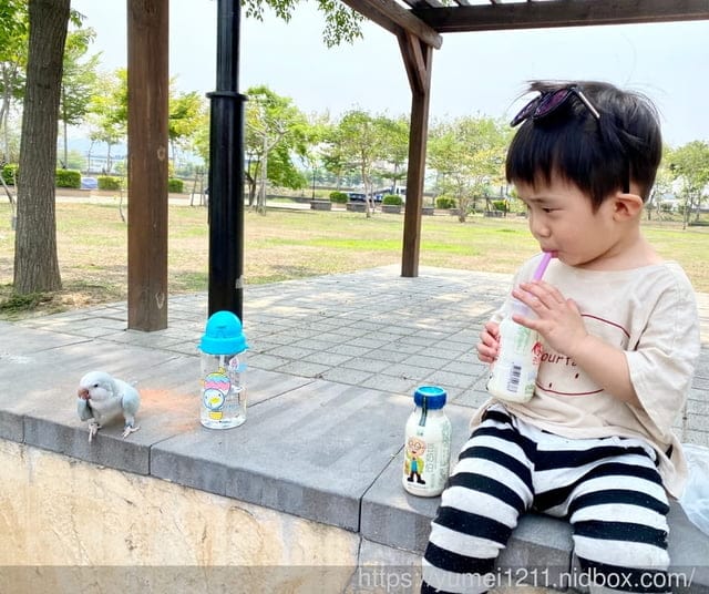 乳品界老品牌國農牛乳-喝牛奶請找我,國農豆奶伯豆漿 - 第7張圖 乳品界老品牌國農牛乳-喝牛奶請找我,國農豆奶伯豆漿