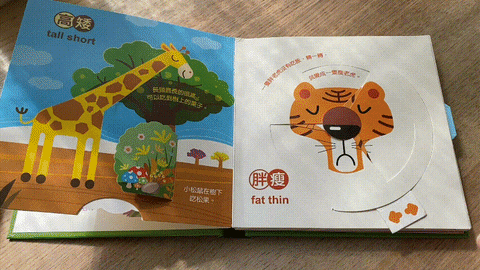 兒童書籍推薦-小小人類，情景認知立體書 寶寶的第一套立體書