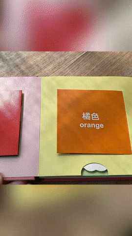 兒童書籍推薦-小小人類，情景認知立體書 寶寶的第一套立體書