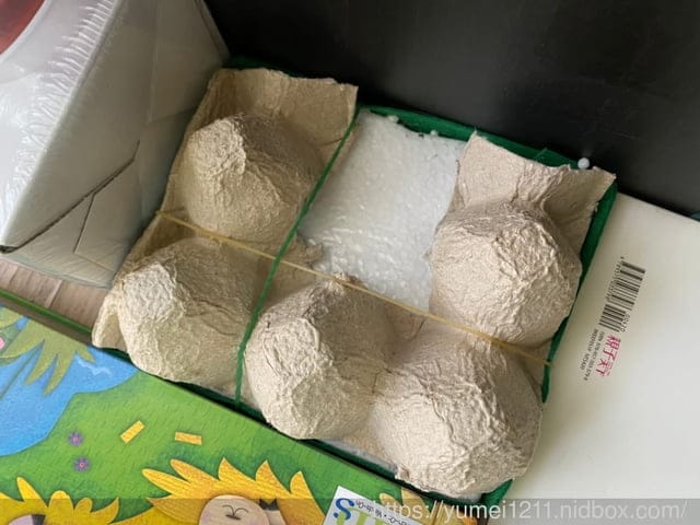 宅家防疫親子手作-鱷魚箱/刷牙 /觸覺箱/餵食 - 第9張圖 宅家防疫親子手作-鱷魚箱/刷牙 /觸覺箱/餵食
