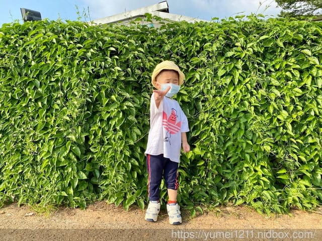 南投名間景點｜親子旅遊｜茶二指故事館｜住宿水管屋｜南投一日遊
