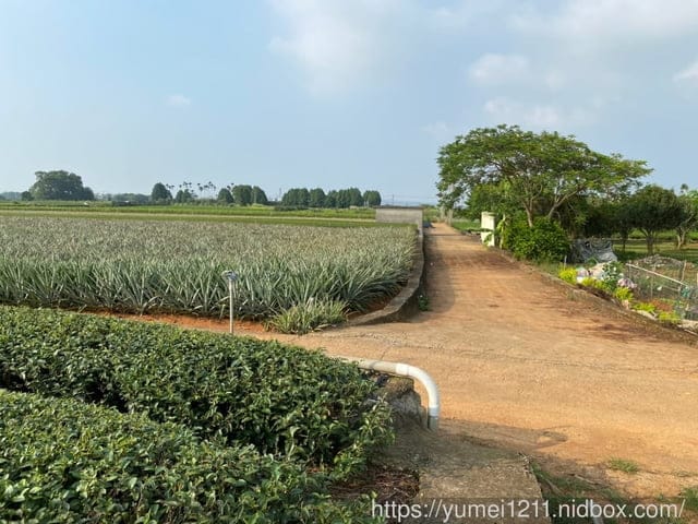 南投名間景點｜親子旅遊｜茶二指故事館｜住宿水管屋｜南投一日遊