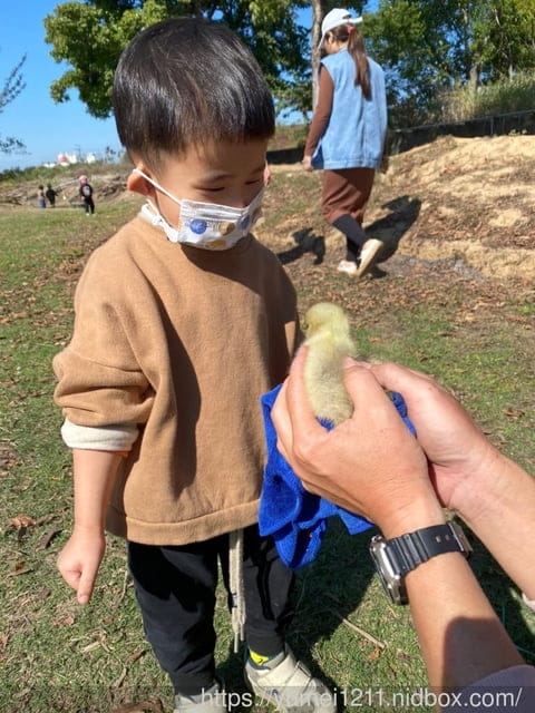 户外找找趣生態課|跟著老師控窯去|尋找雞母蟲親子課程 - 第17張圖 户外找找趣生態課|跟著老師控窯去|尋找雞母蟲親子課程