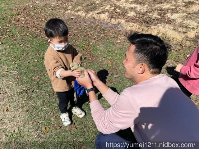 户外找找趣生態課|跟著老師控窯去|尋找雞母蟲親子課程 - 第16張圖 户外找找趣生態課|跟著老師控窯去|尋找雞母蟲親子課程